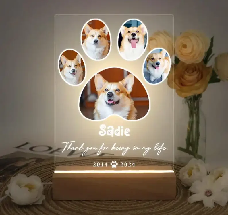 kf S70e0d2bc399b403b8224ffeeee689535A