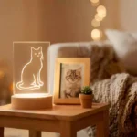 4071 cat sec4 personalized gift