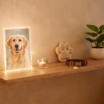 How to Create a Meaningful Pet Memorial Display at Home 5 pet1 memorial display