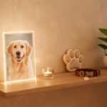 Best Gifts for Dog Lovers Who Have Everything 5 pet1 memorial display edited