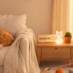 pet3 cat lover gifts e1789190097169